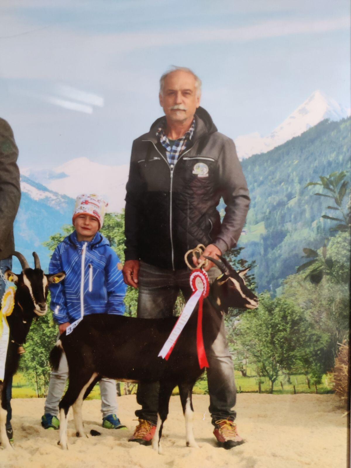 Pinzgauer Strahlenziege 3