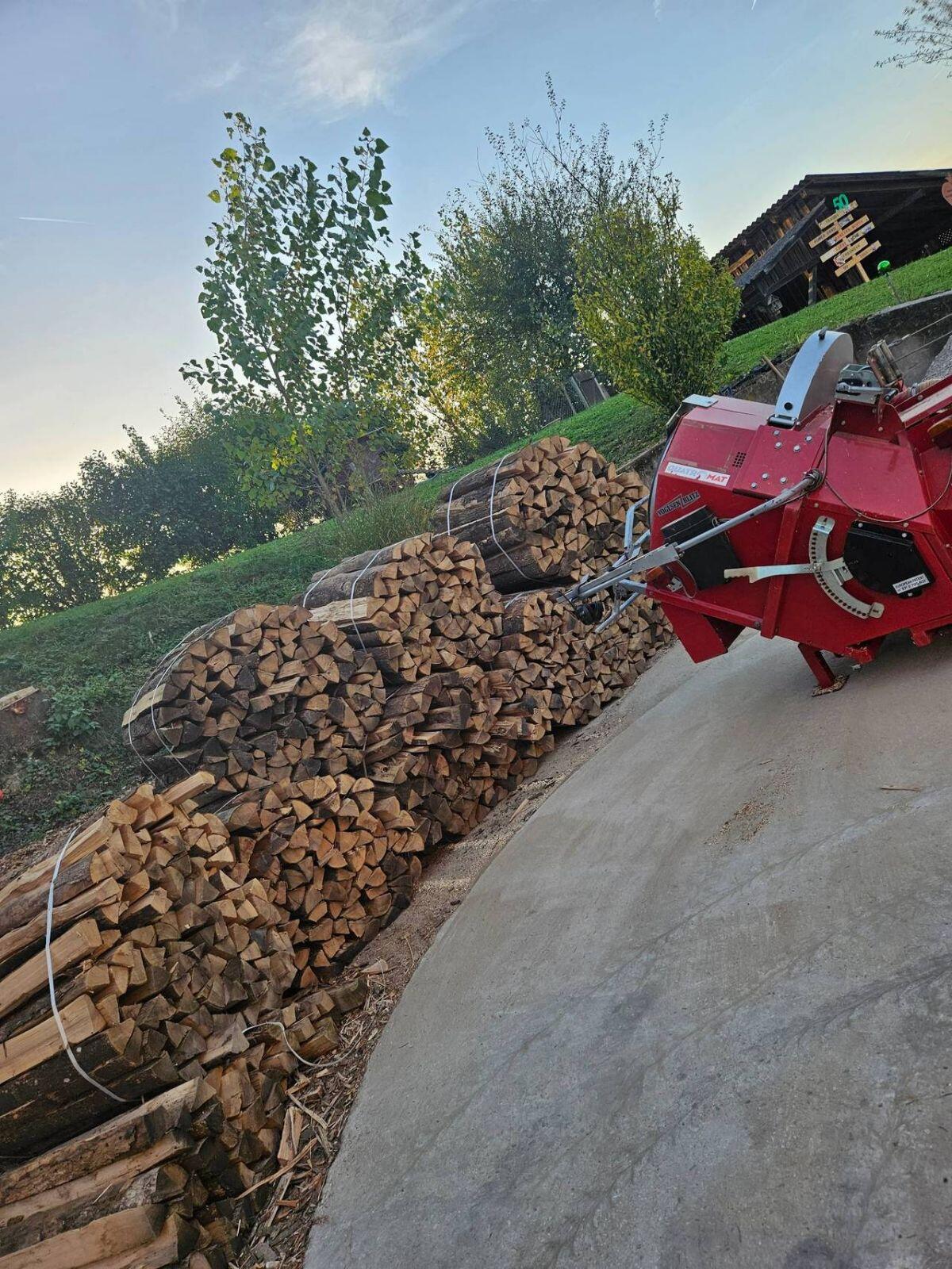 Brennholz Hart (Esche) 3