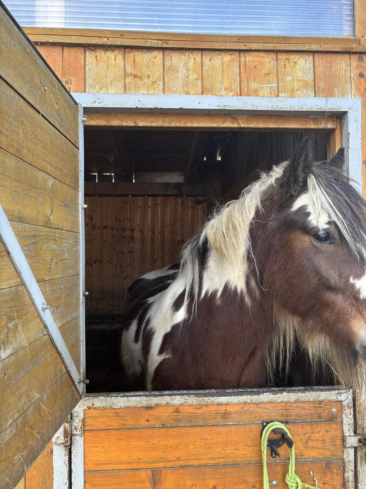 Tinker-Wallach zu verkaufen 3