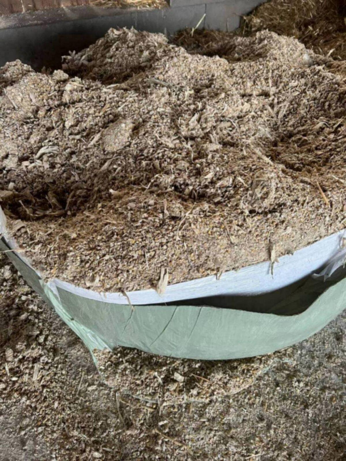 Lieschkolbensilageballen 2