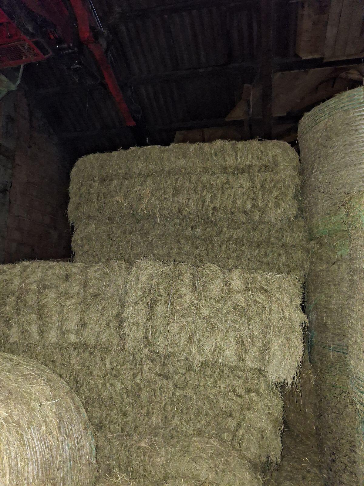 Heu 3 Schnitt 2025 1