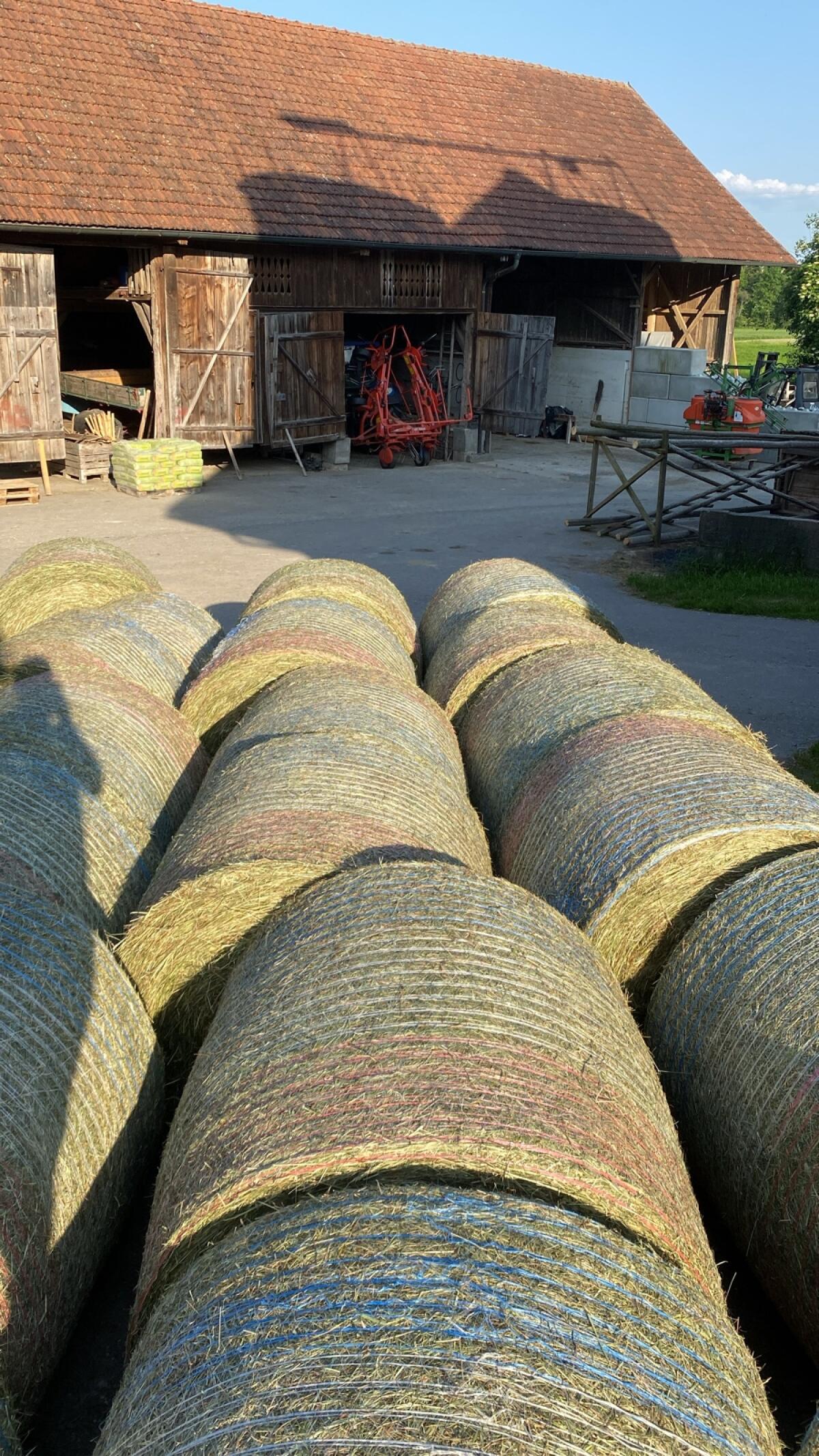 QualitätsHeu 1.Schnitt 2025 1