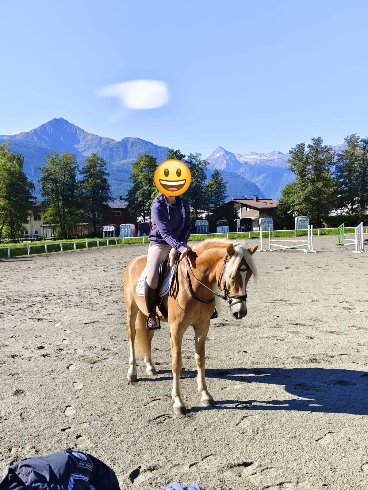 Sehr ausdrucksstarker fast 4-jähriger Haflingerwallach 1