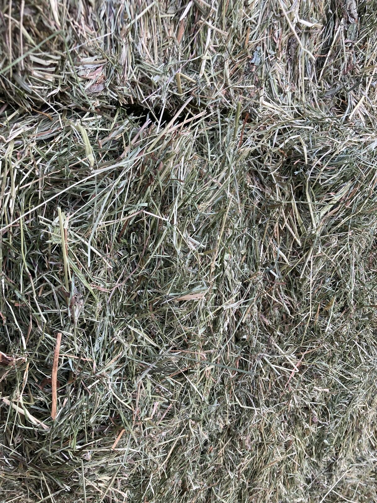 Stockbelüftetes Heu Quader- und Großballen 2