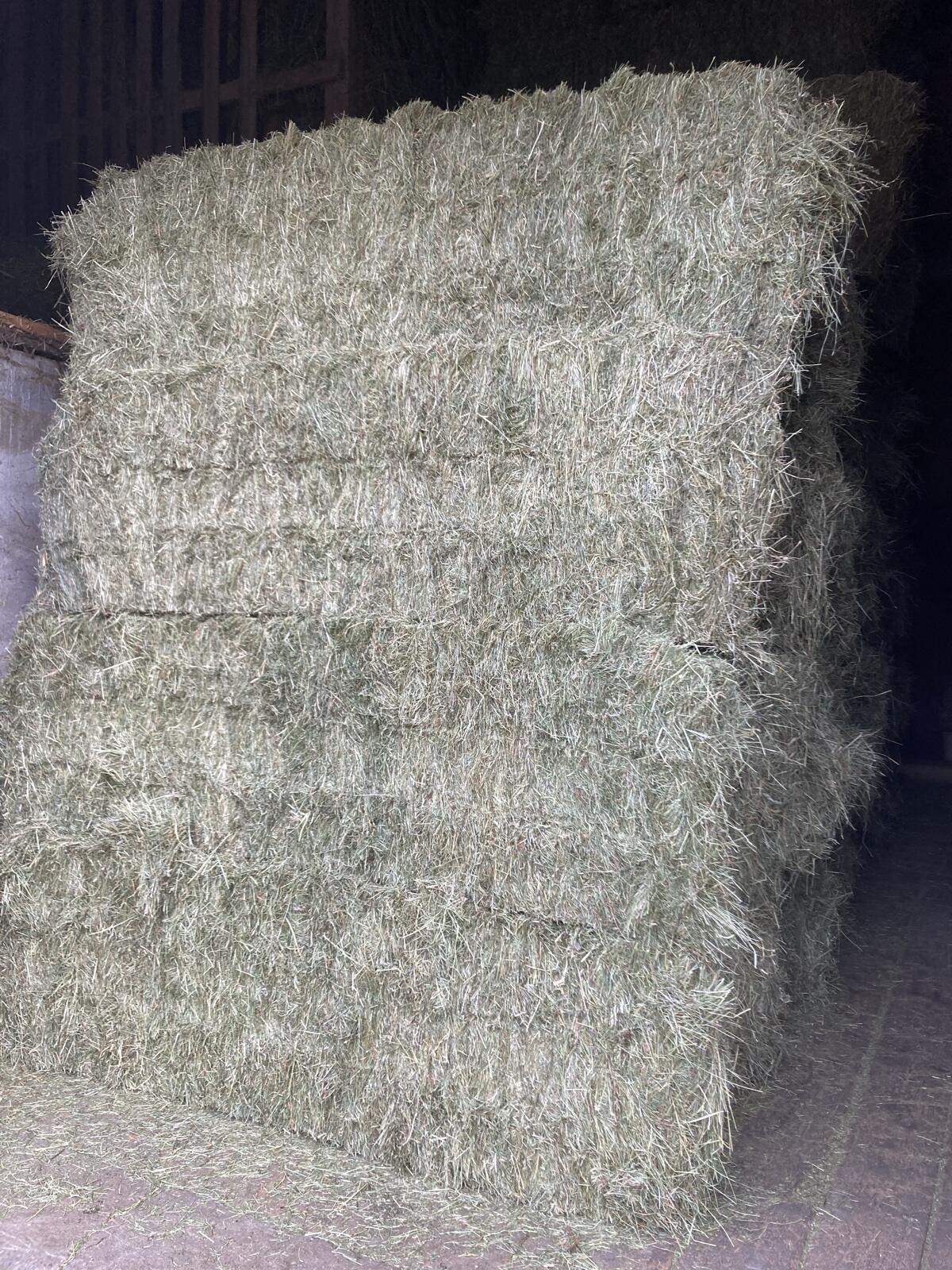 Stockbelüftetes Heu Quader- und Großballen 1
