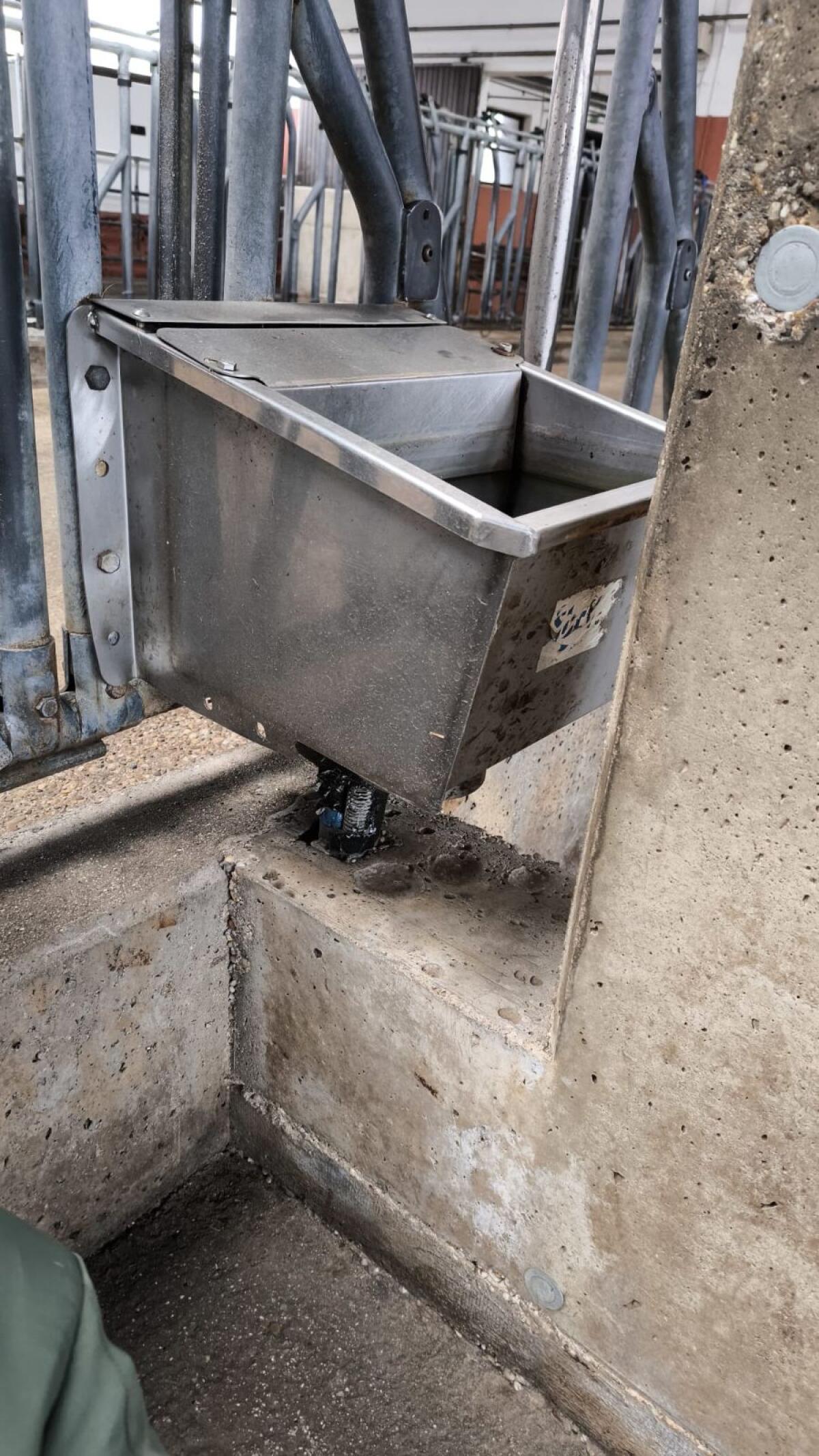 Tränkebecken Suevia 1