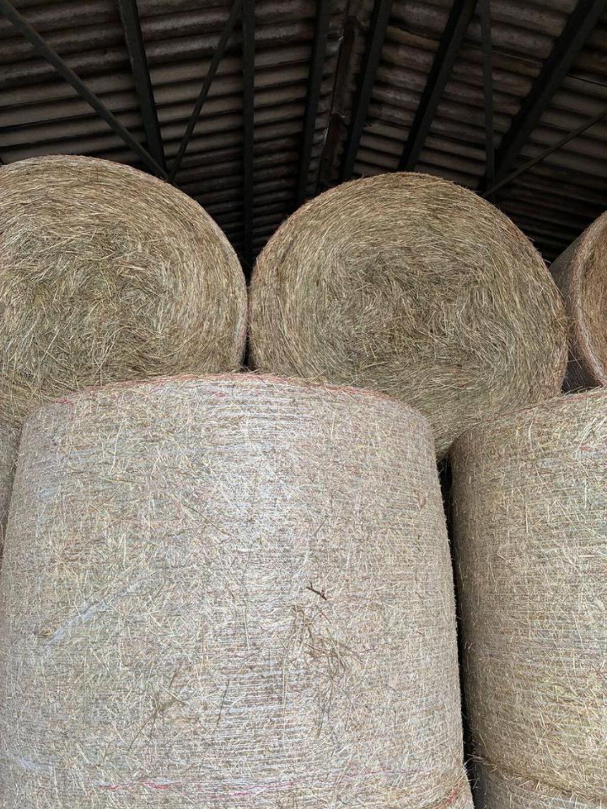 Heuballen 1. Schnitt 2025 3