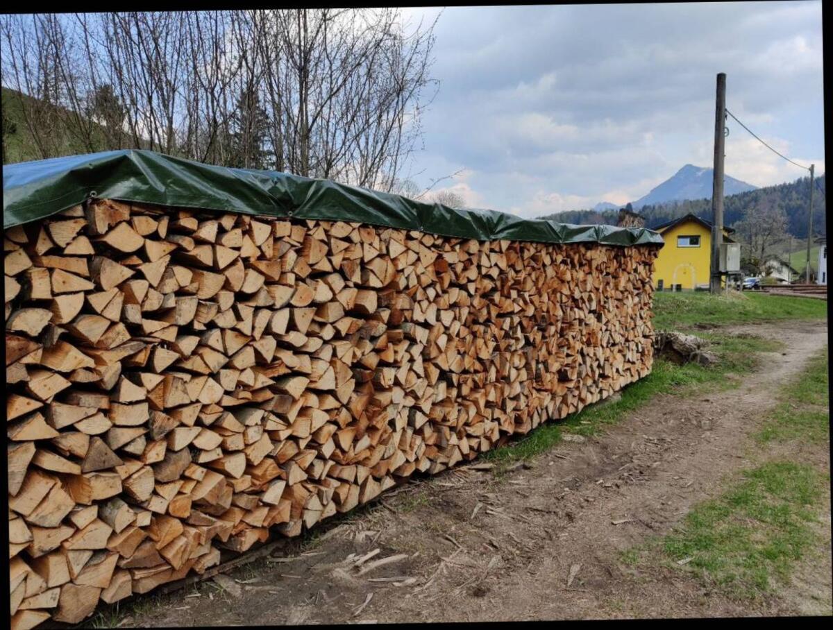 Brennholz - Hartholz 3