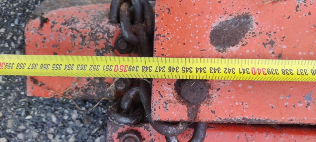 Wiesenegge Wölfleder 2