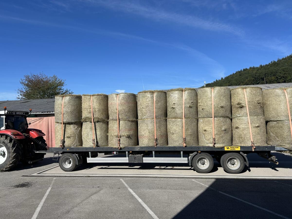 Maissilage, Grassilage, Heu 2