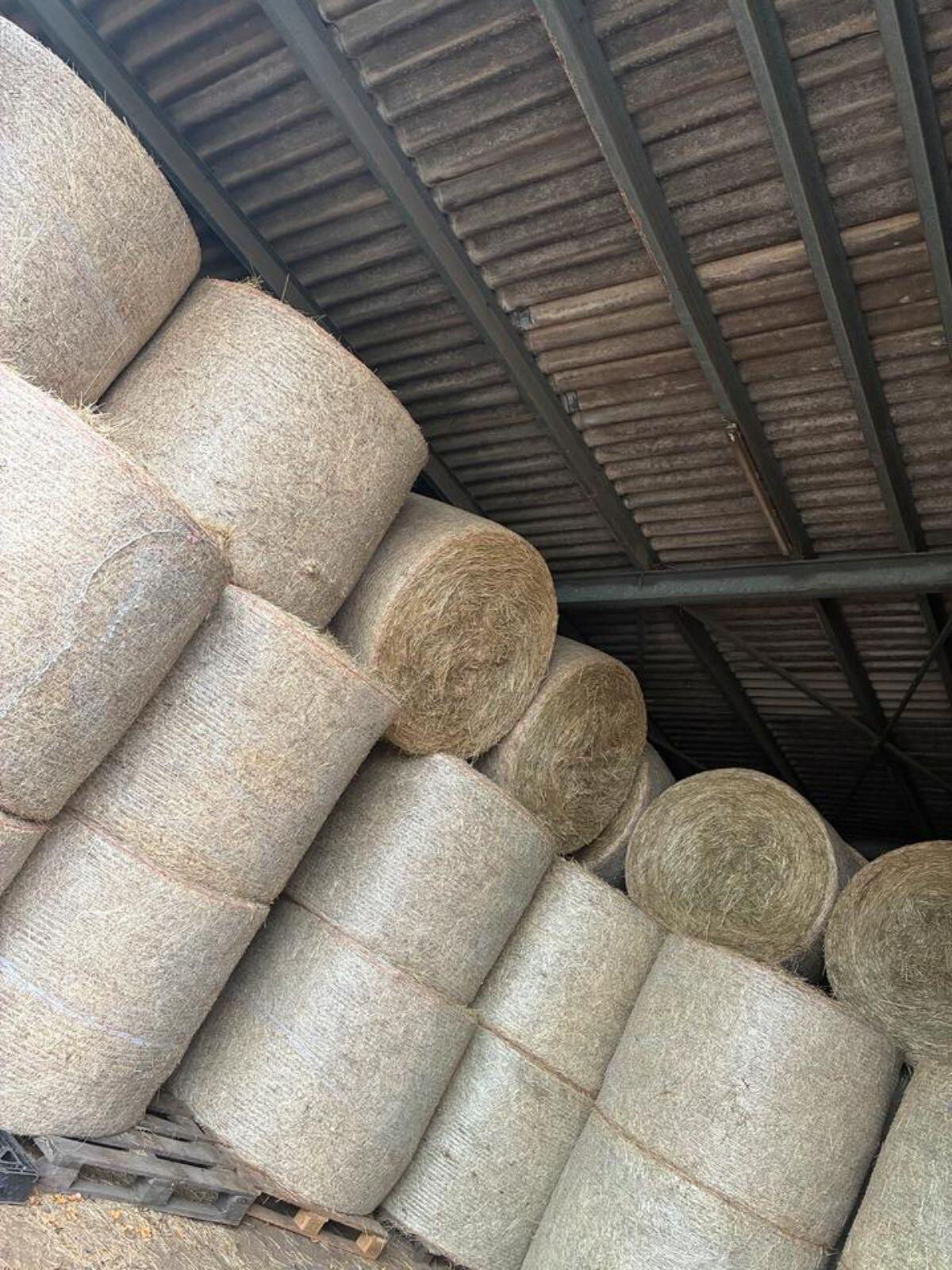 Heuballen 1. Schnitt 2025 1