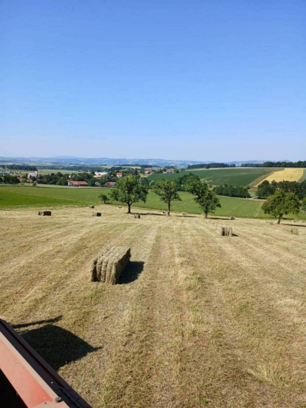 Greenland Quaderballenpresse CB8080 2