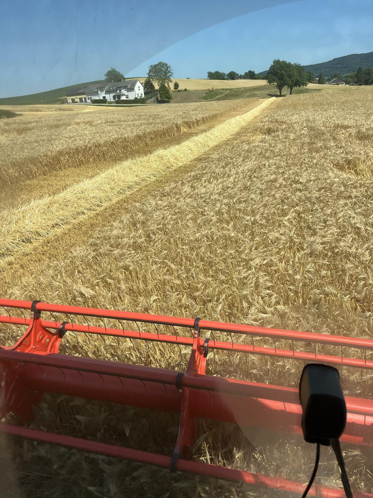 Verkaufe Weizenstroh 3