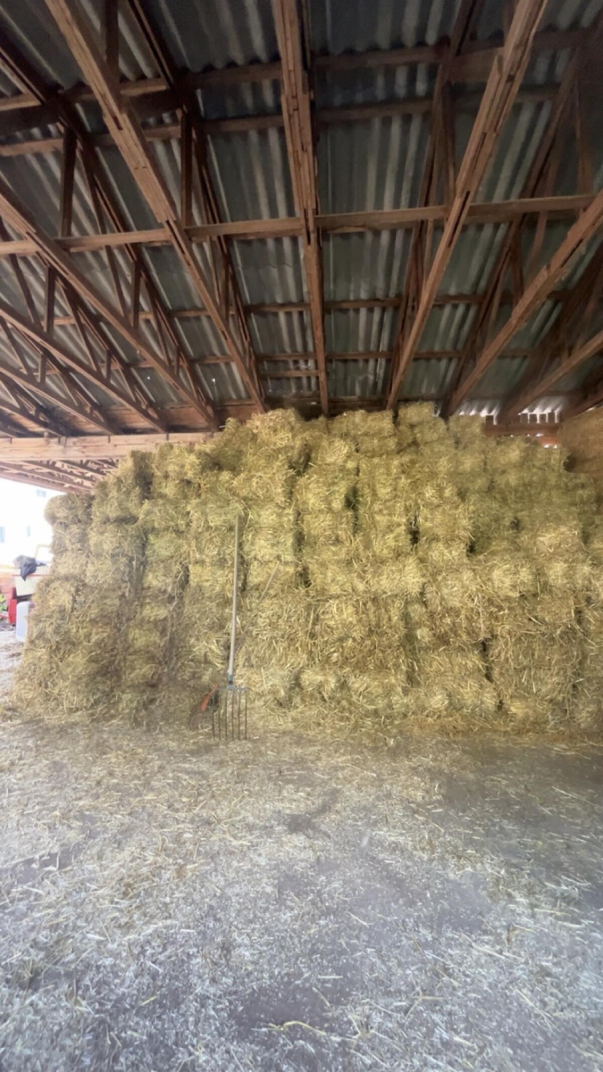 Bio Weizenstrohballen 1