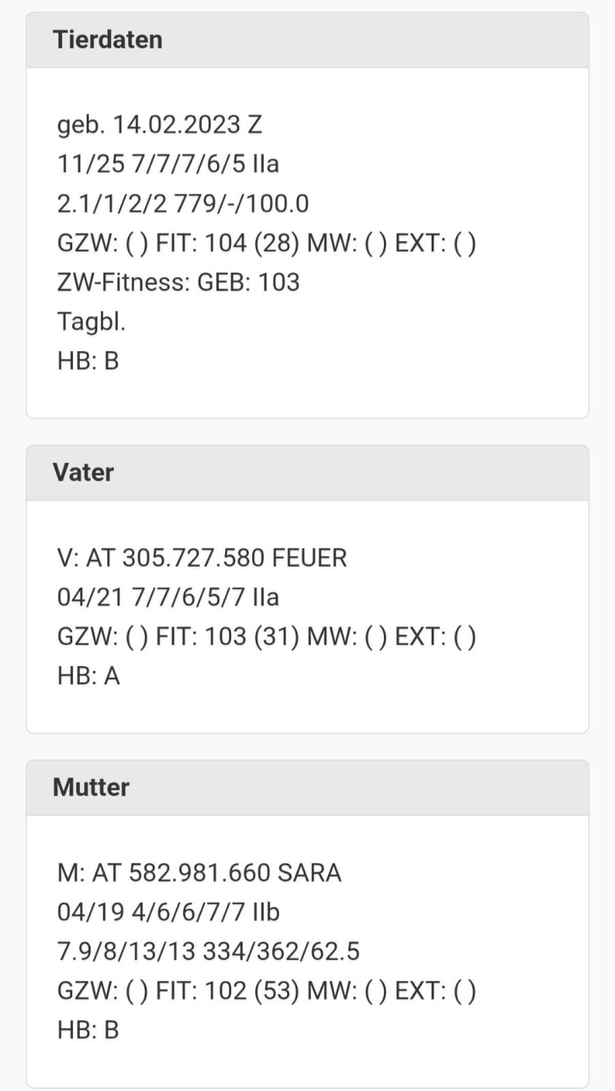 HB Tauernschecken Ziege/Kitz 3