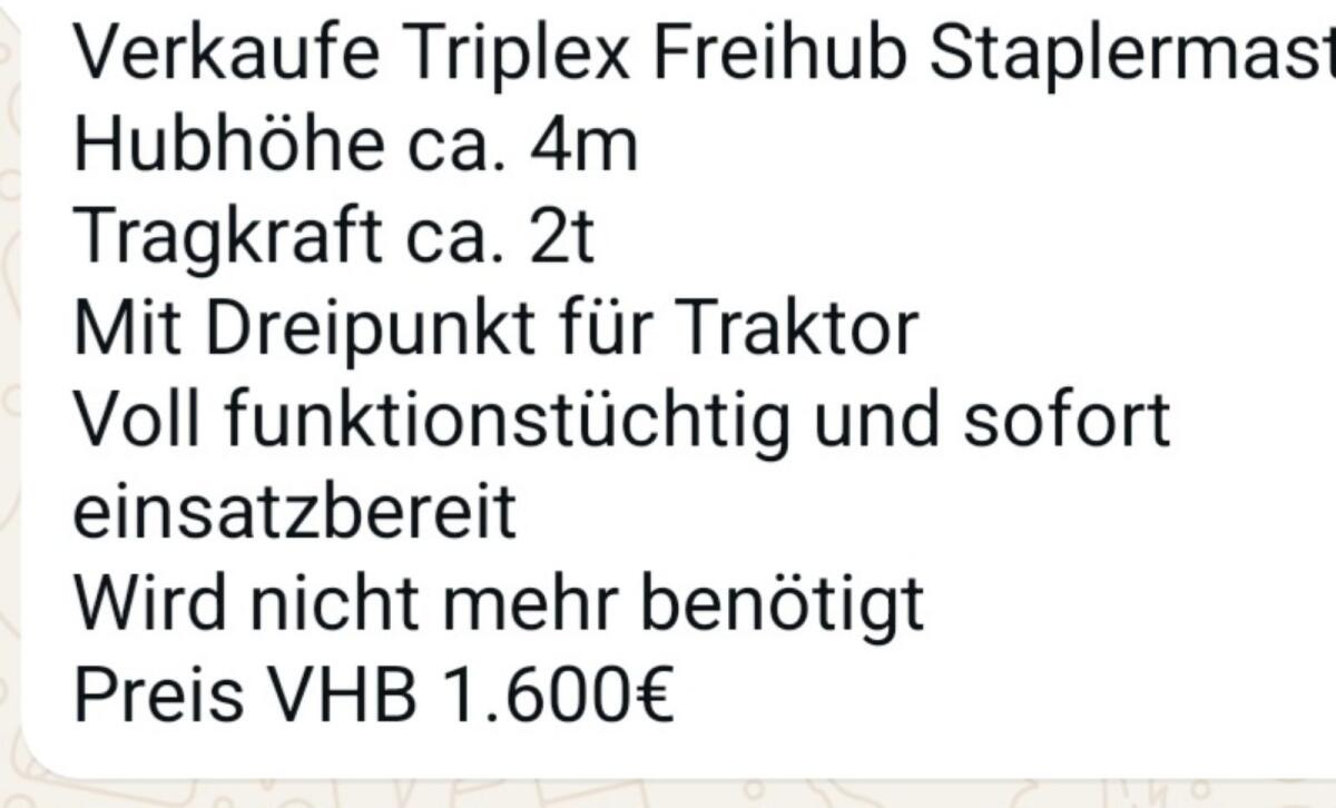 Verkauf Triplex-Freihub-Staplermast, Standort Weibern, OÖ 3