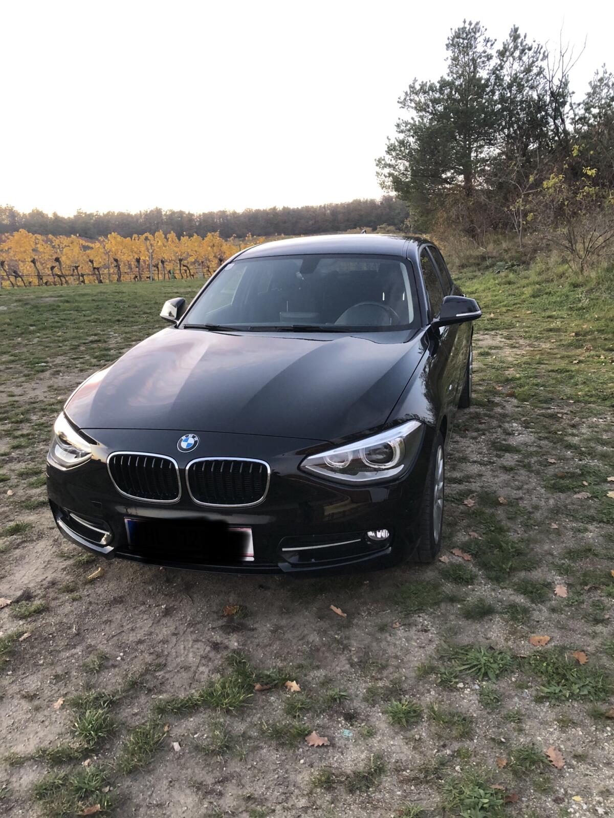 BMW 1er 116d, Sport-Ausstattung, Österreich-Paket 2