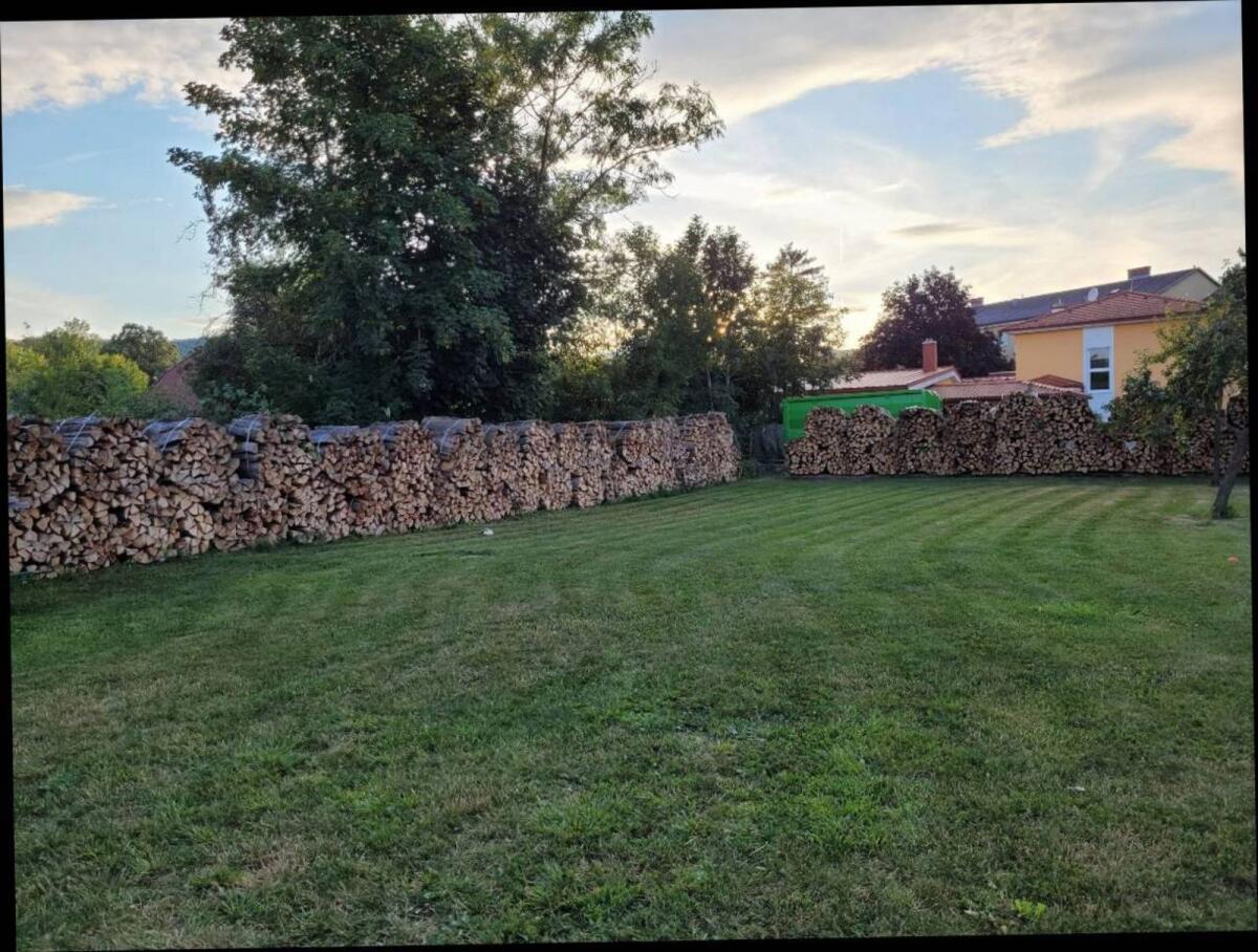 Verkaufe Buchenbrennholz 1