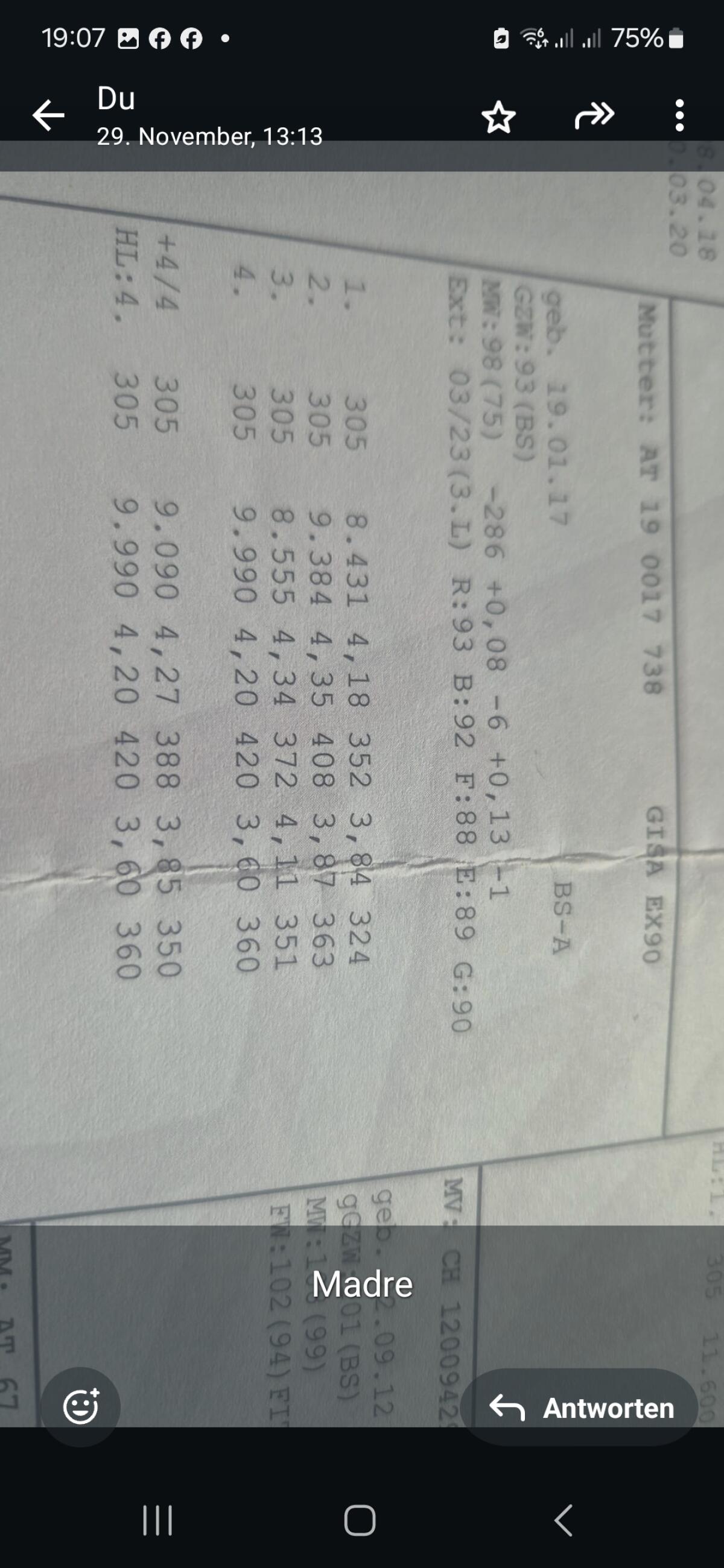 Jungkuh Vater Biniam zu verkaufen 3