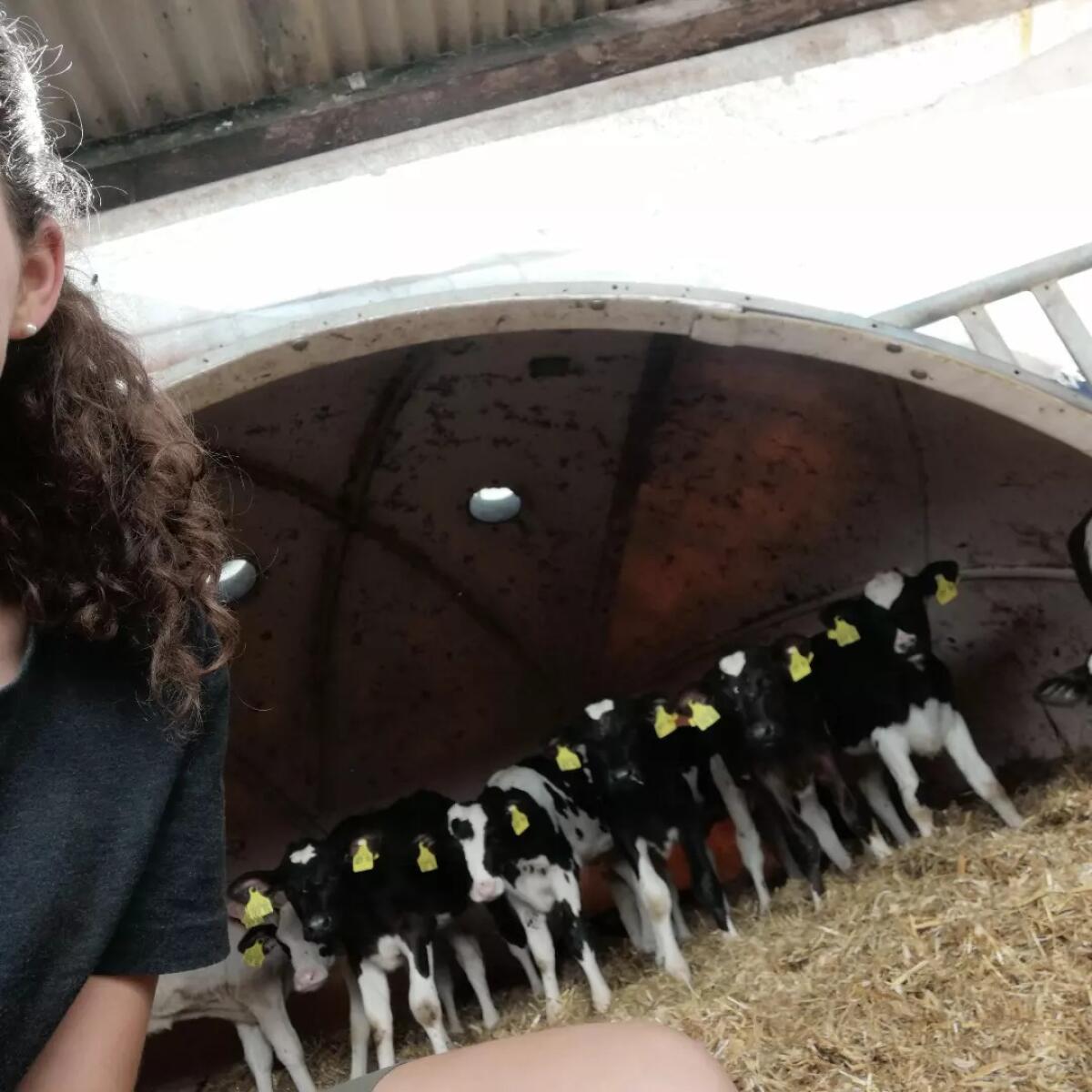 Praktikumsplatz w/m ab 2026 frei 1