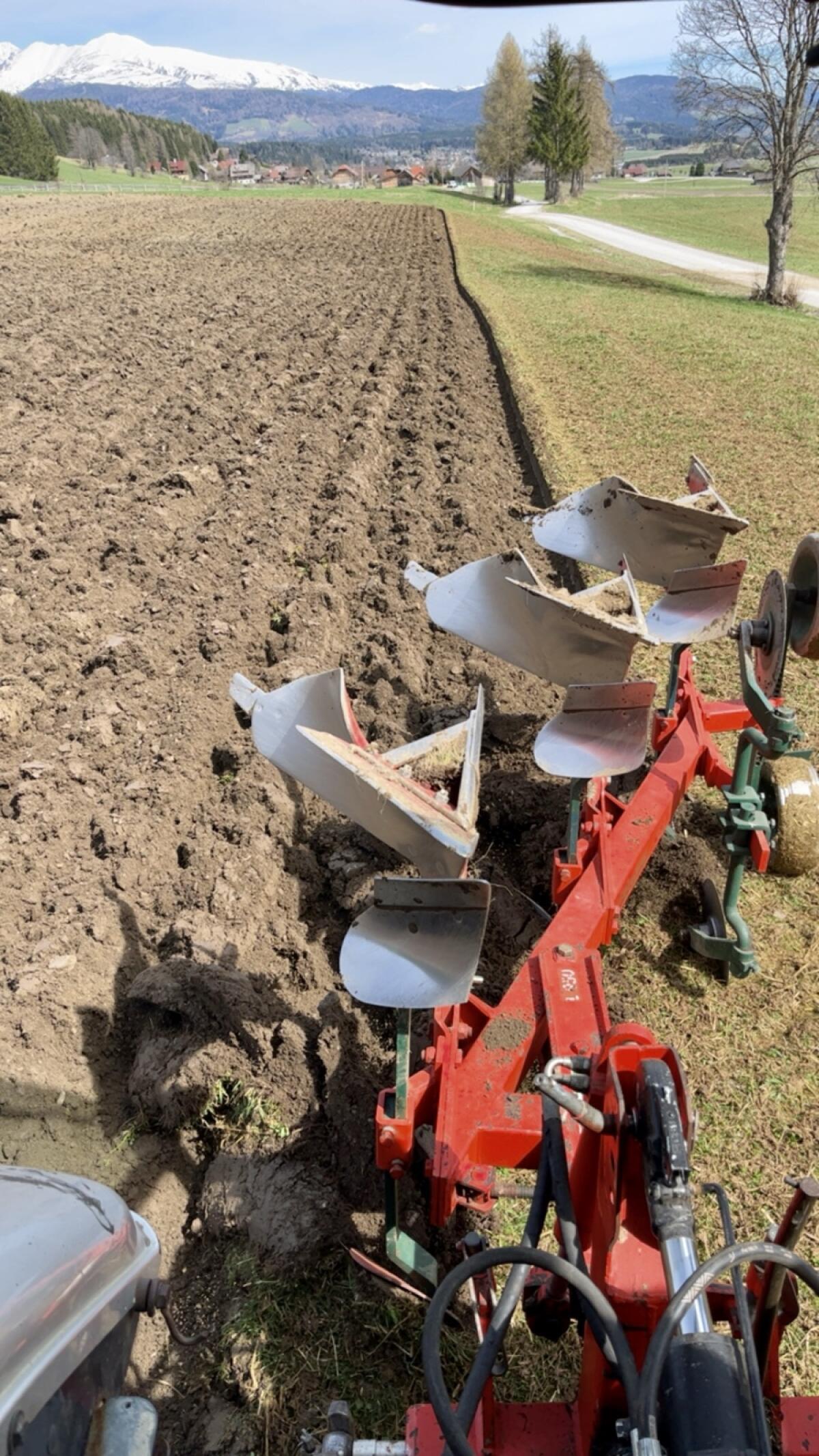 Vogel und Noot Dreischar-Pflug 1