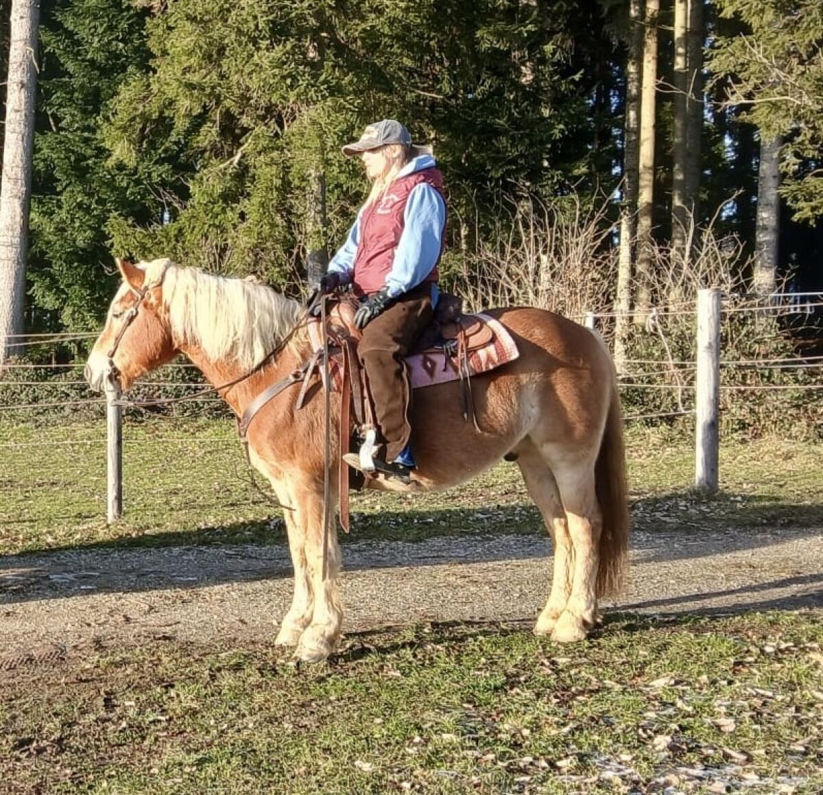 Reitunterricht/Bodenarbeitseinheiten 2
