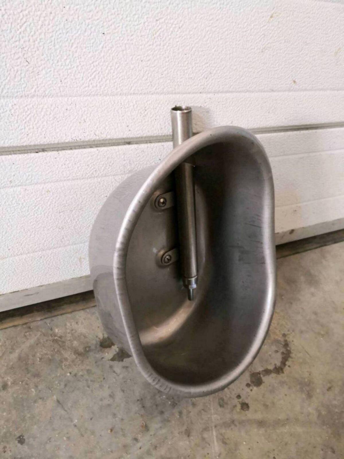 Schalentränker für Schweine 1