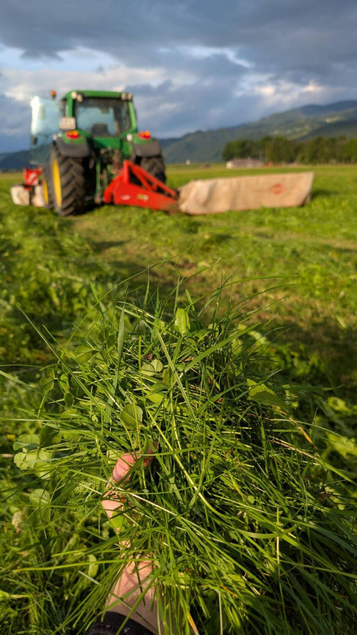 Bio Austria Siloballen 3. Schnitt 2