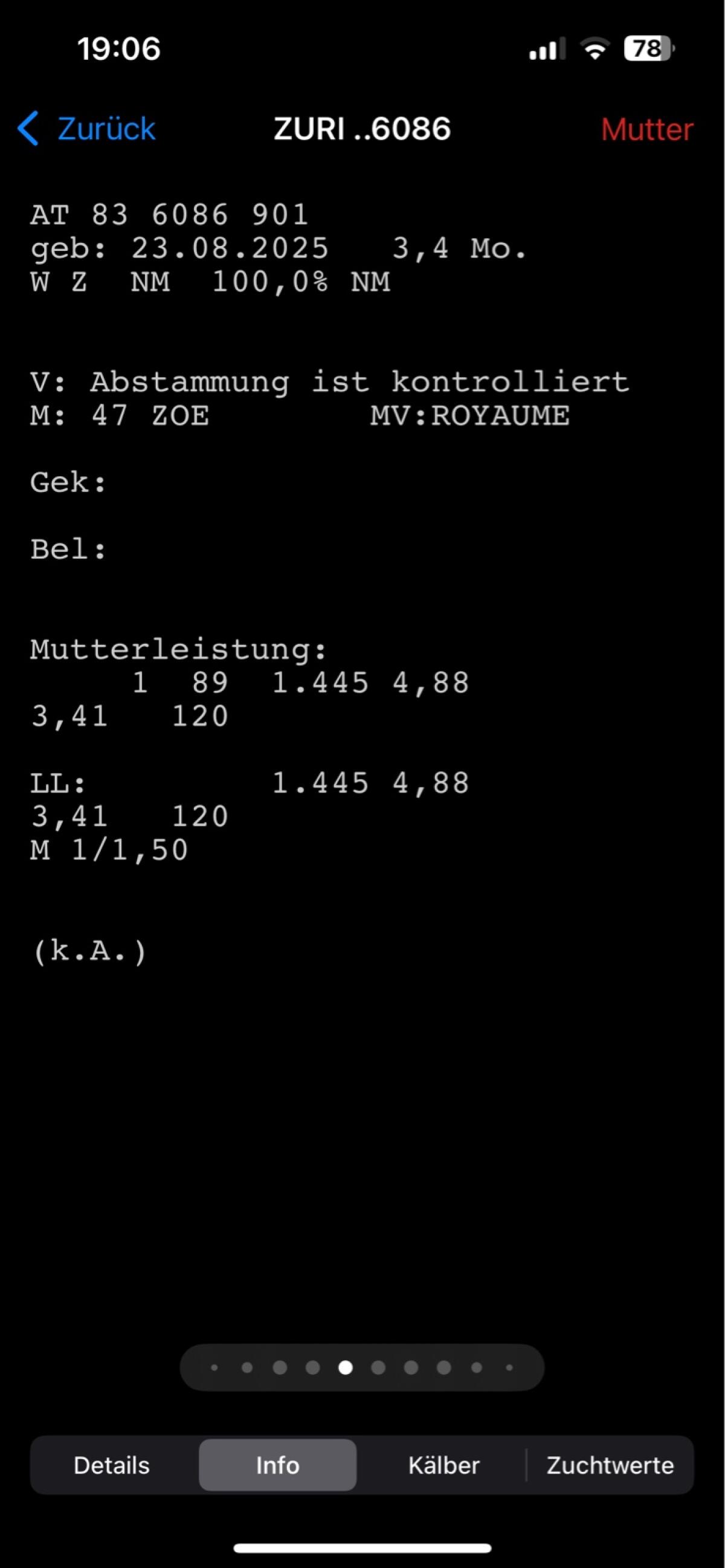 BIO Normande Kälber 3