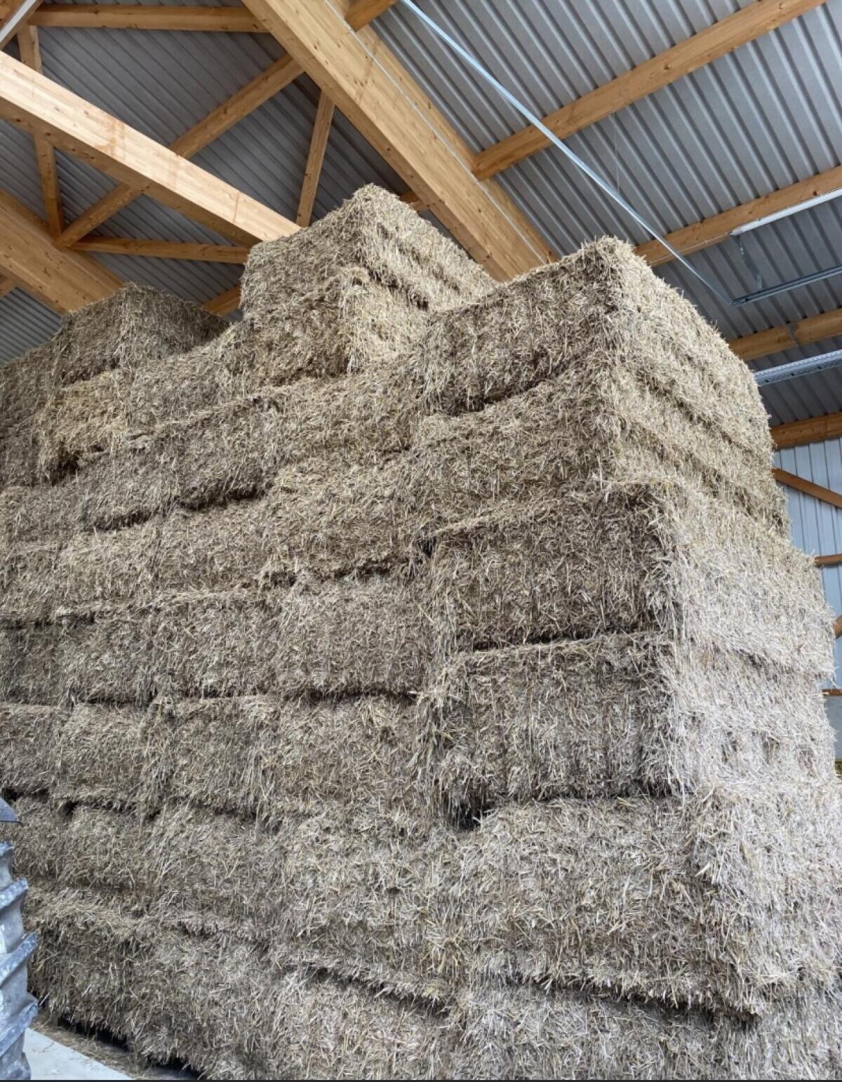 Weizenstroh zu verkaufen 1
