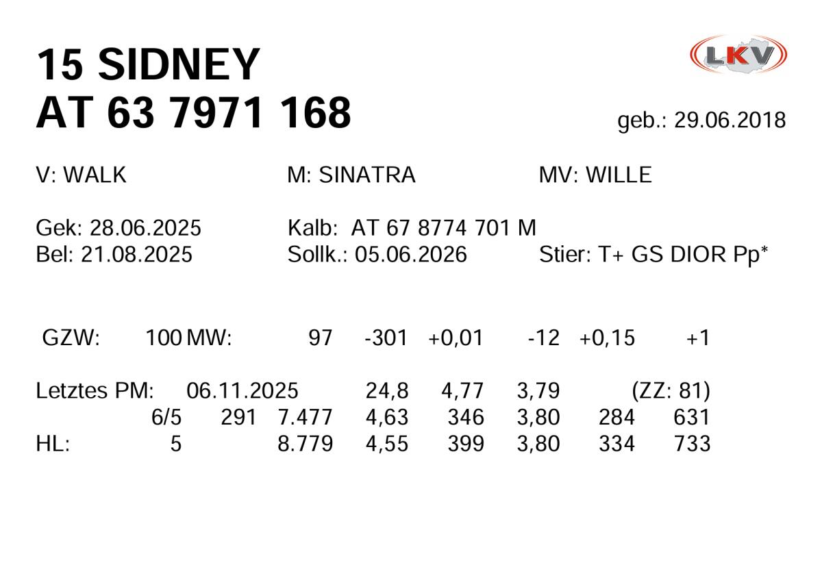 Biete Kühe und Kalbinnen zum Kauf 3