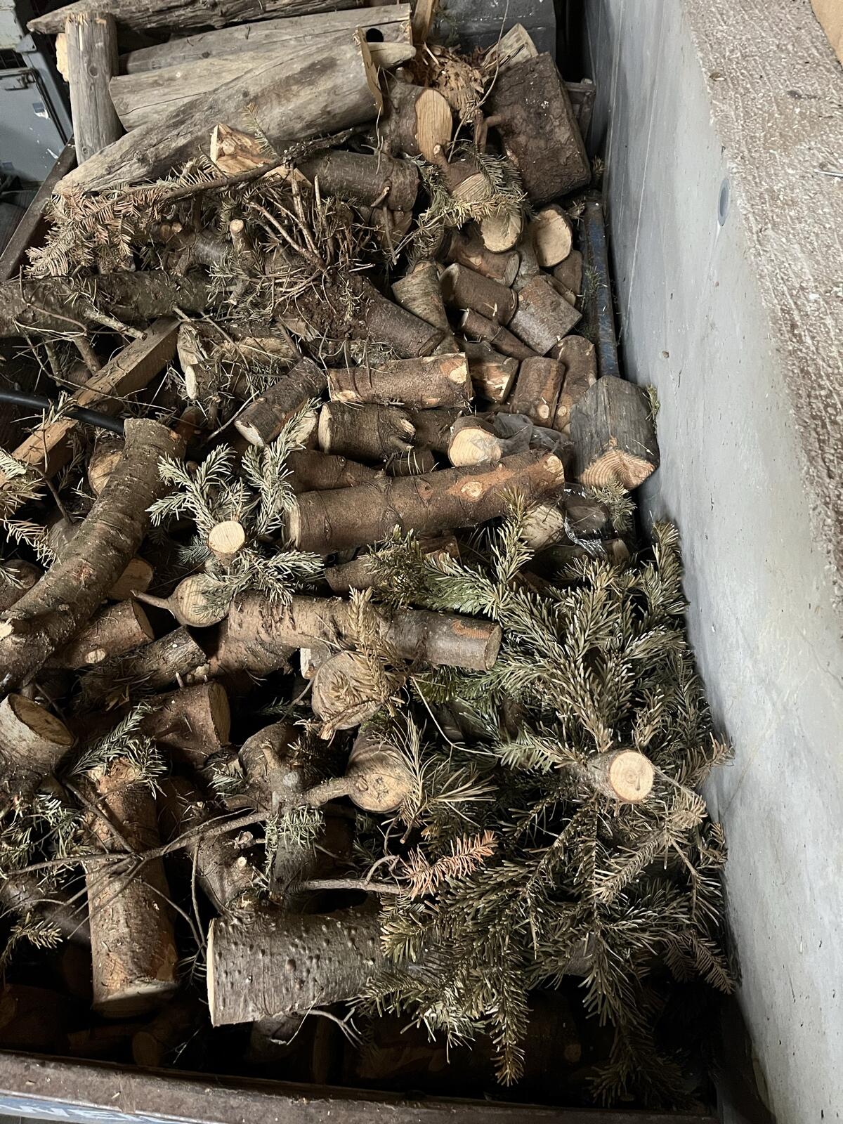 Brennholz 1