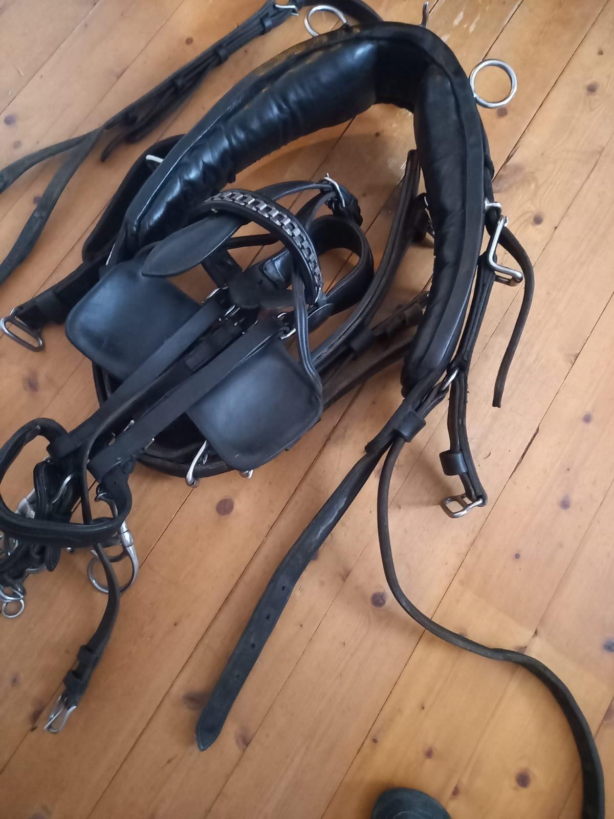 Sulky & Brustblattgeschirr 2