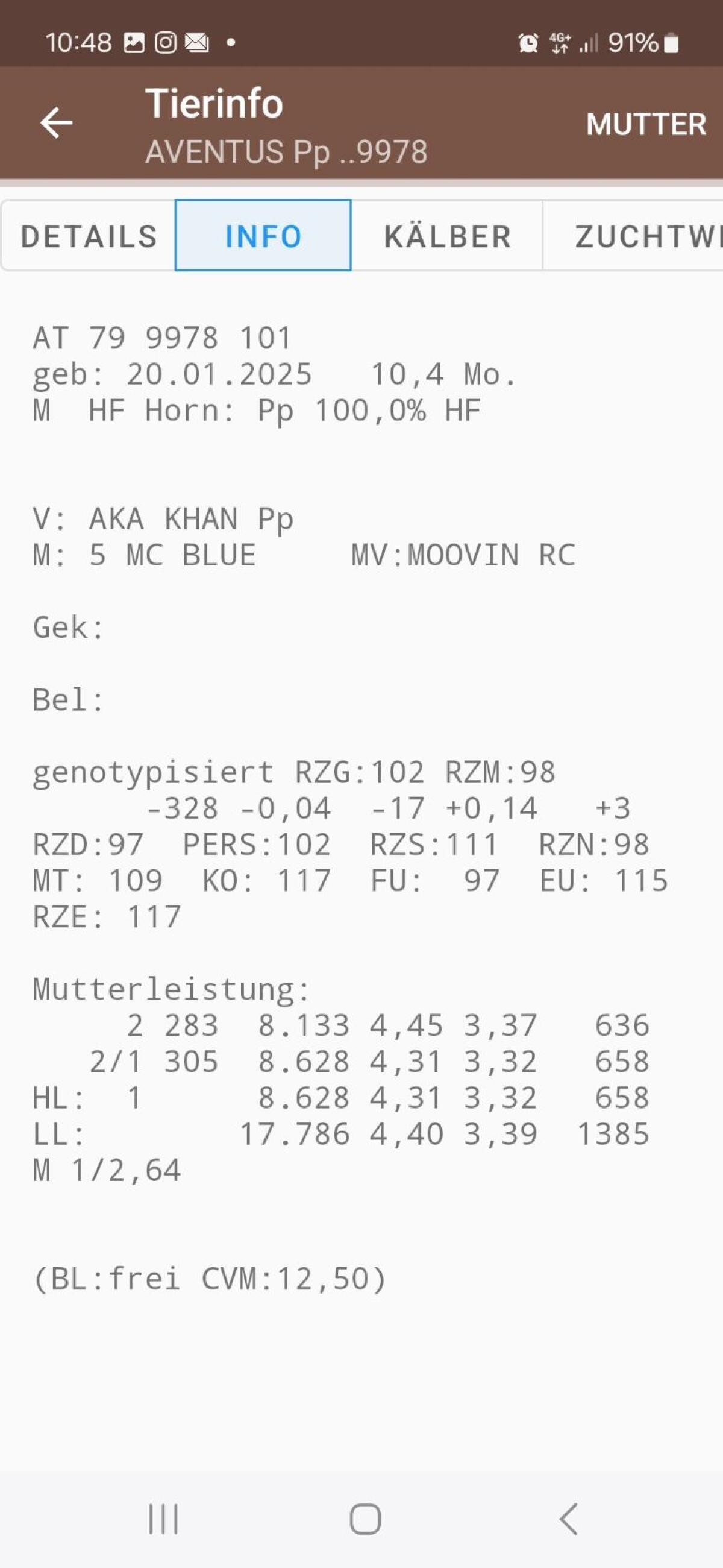 Verkaufe Red Holstein und Holstein Stiere 3