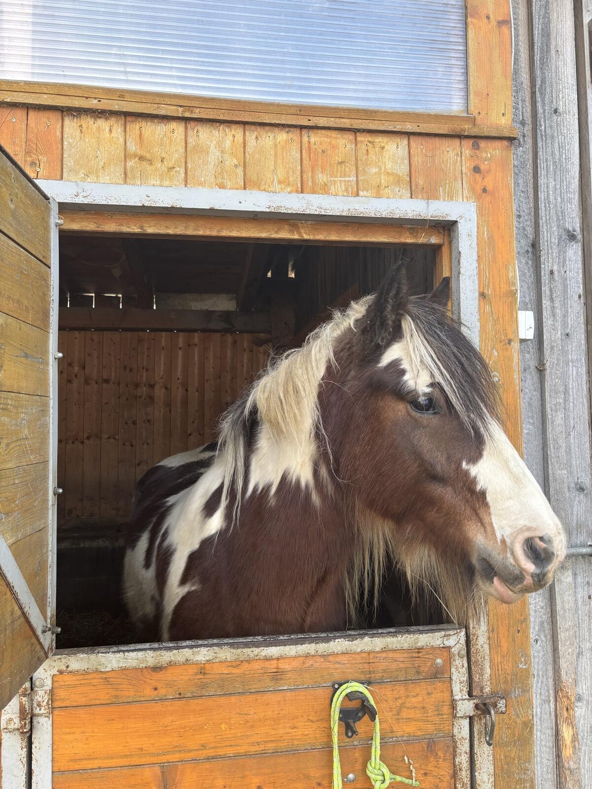 Tinker-Wallach zu verkaufen 2