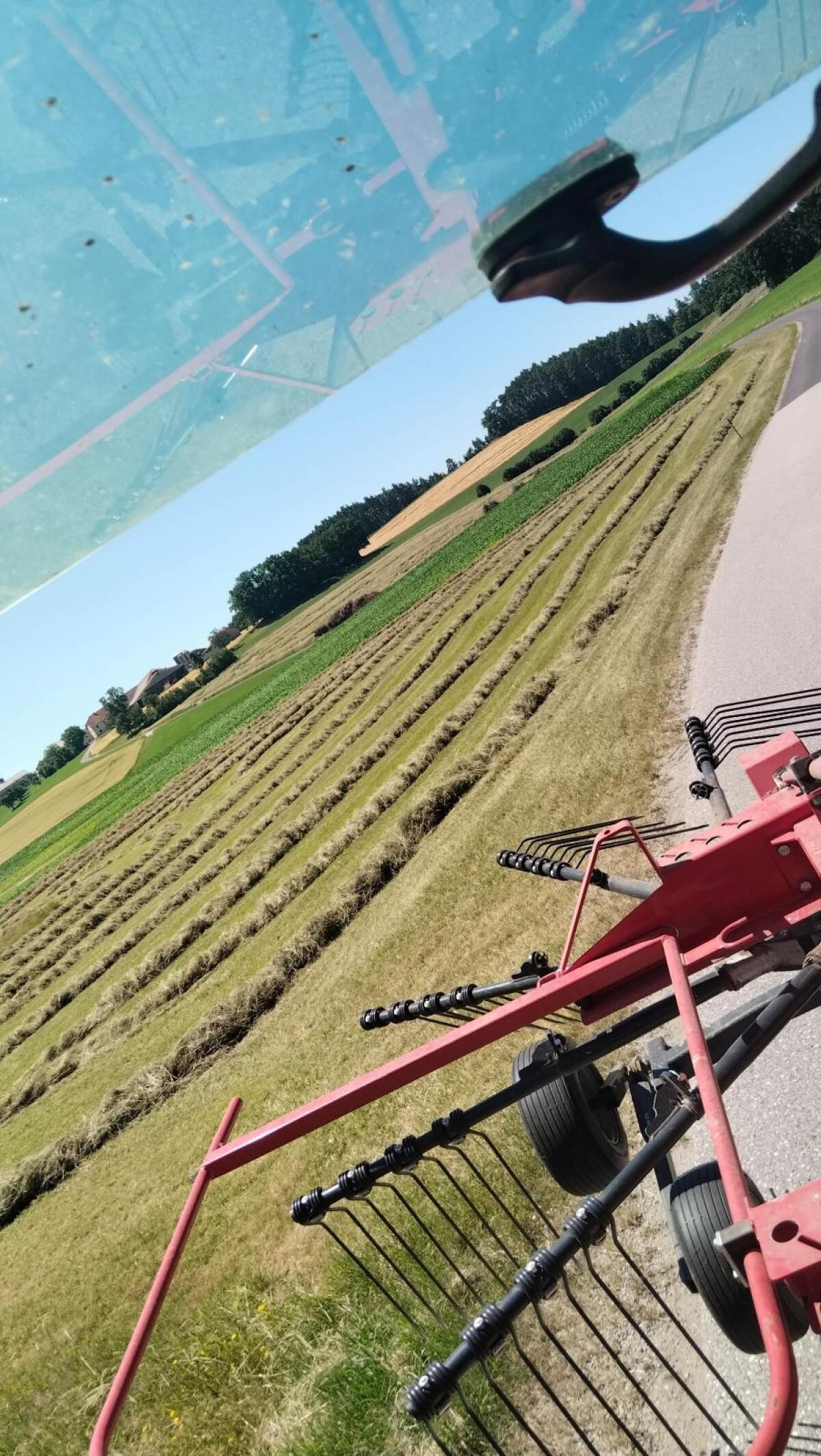 Bio Heu 1. Schnitt 2025 3