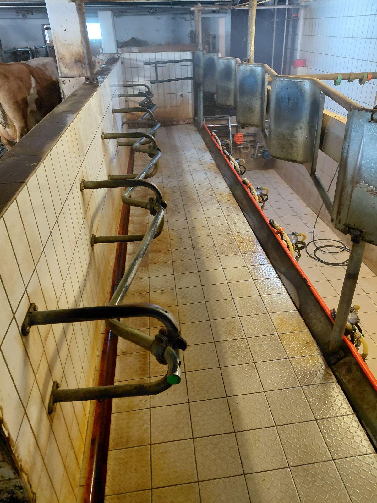 Etscheid Melkstand mit Schauer Kraftfutterstation 2