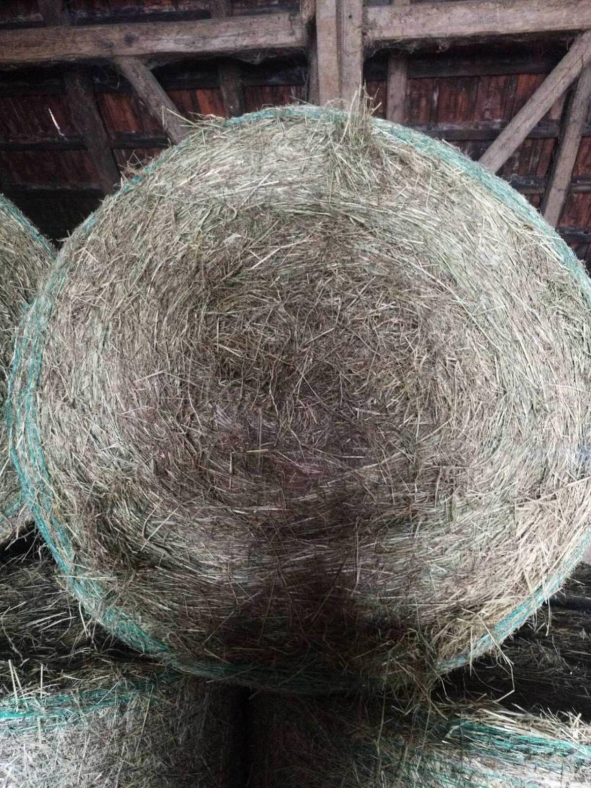 Heu Rundballen 2