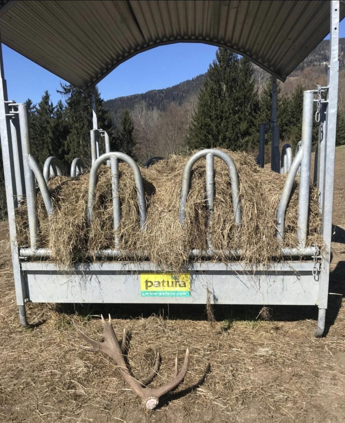 Patura Viereckraufe mit Palisadenfressgitter 3