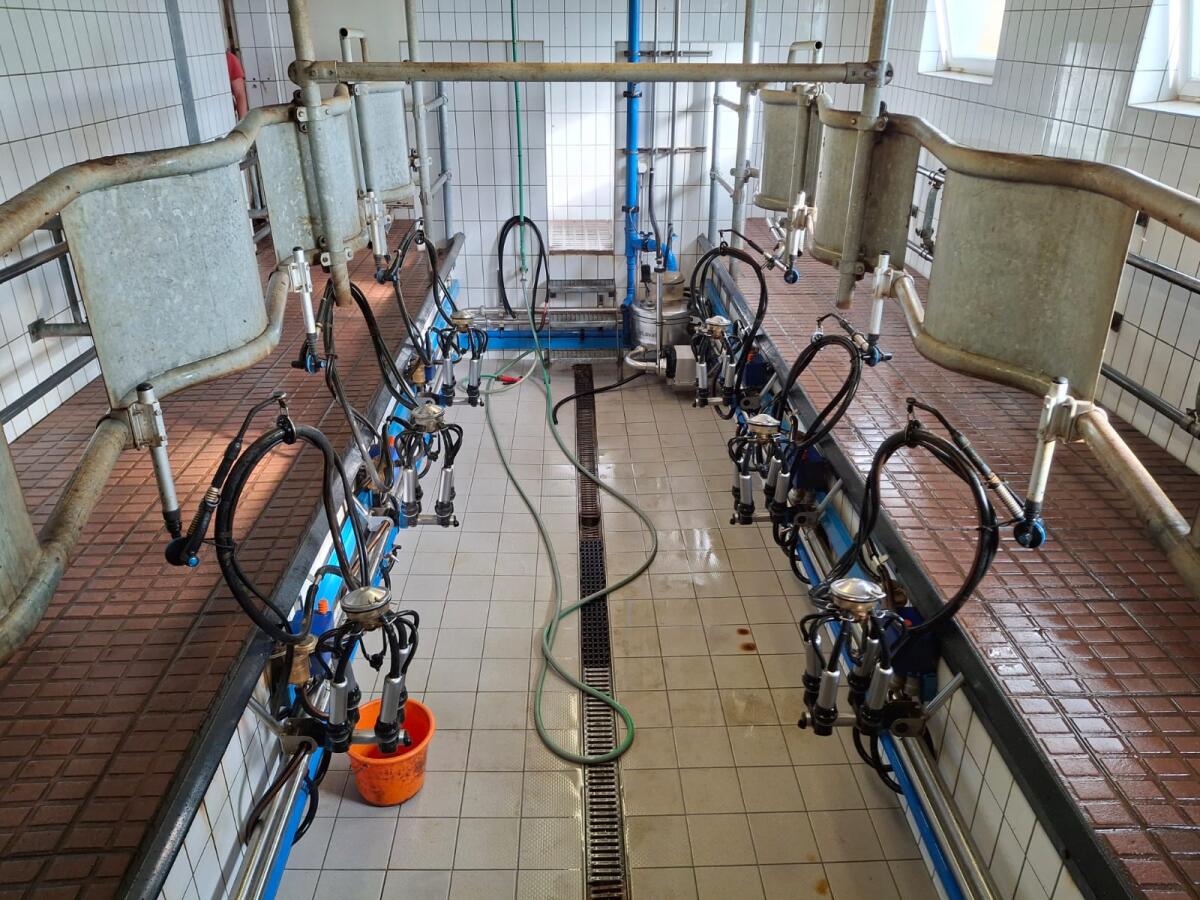 DeLaval 2x3 Fischgräten-Melkstand 1