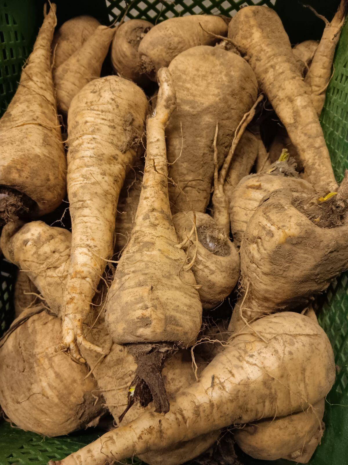 Bio-Gemüse, Kartoffeln 2