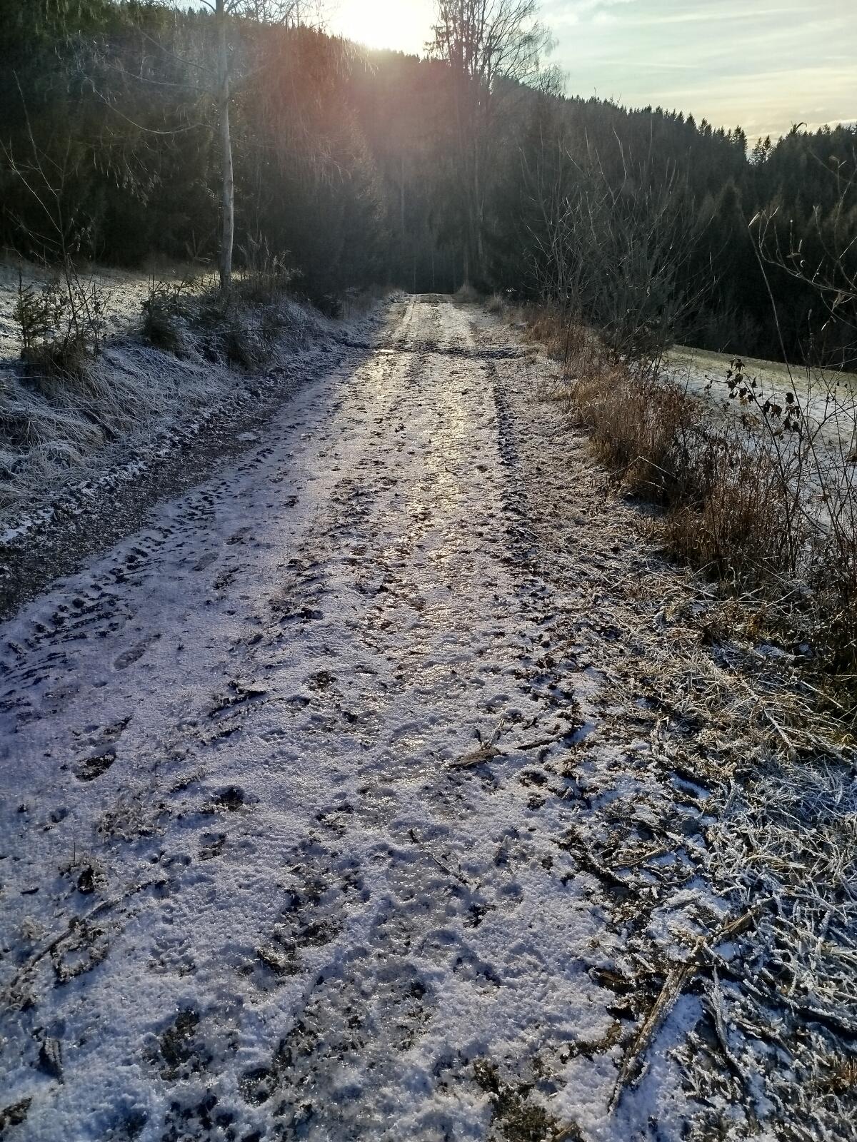 Landwirtschaftliche Nutzfläche 1