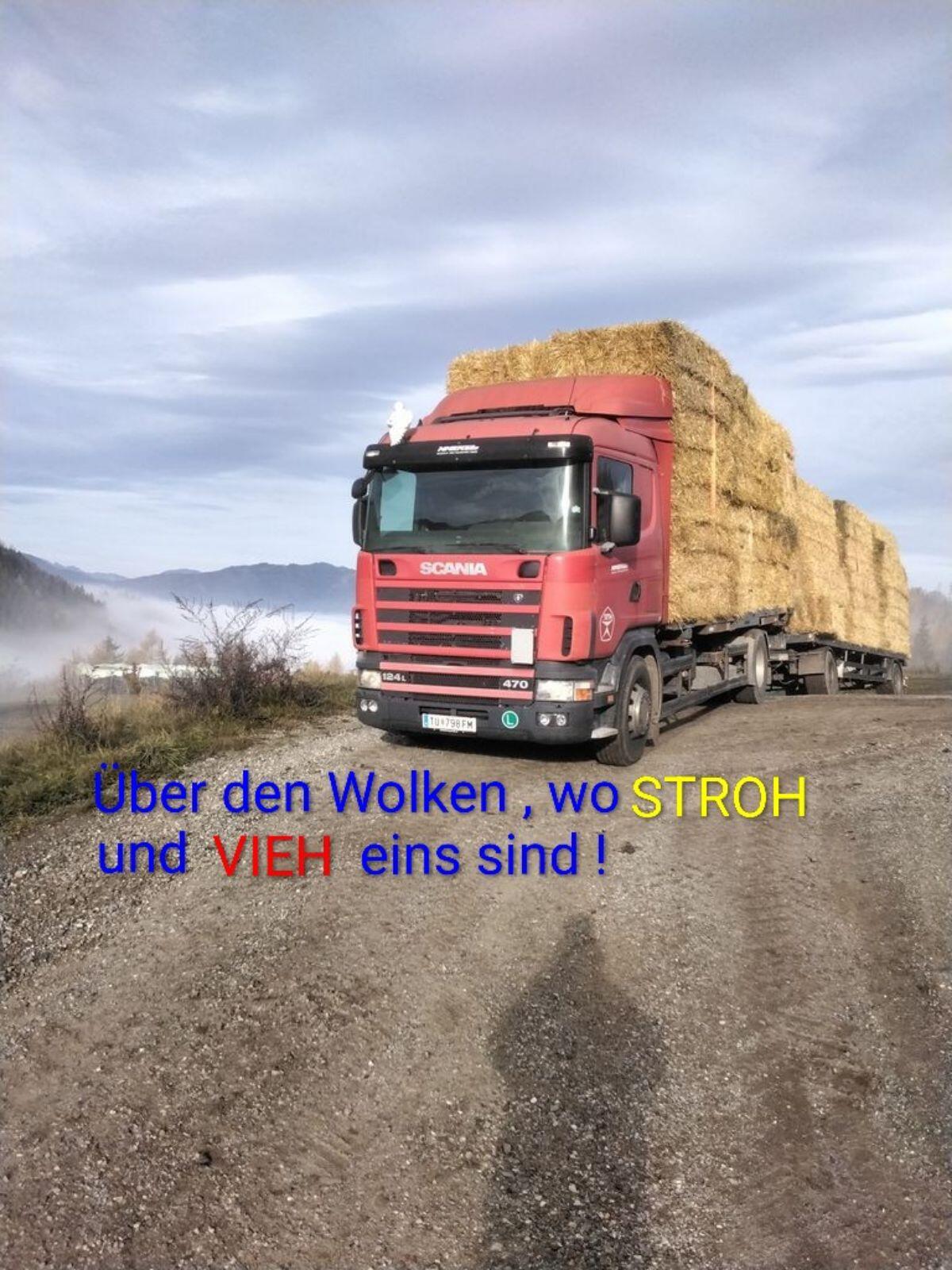 Guten Morgen Österreich! Stroh für dein Vieh! 1