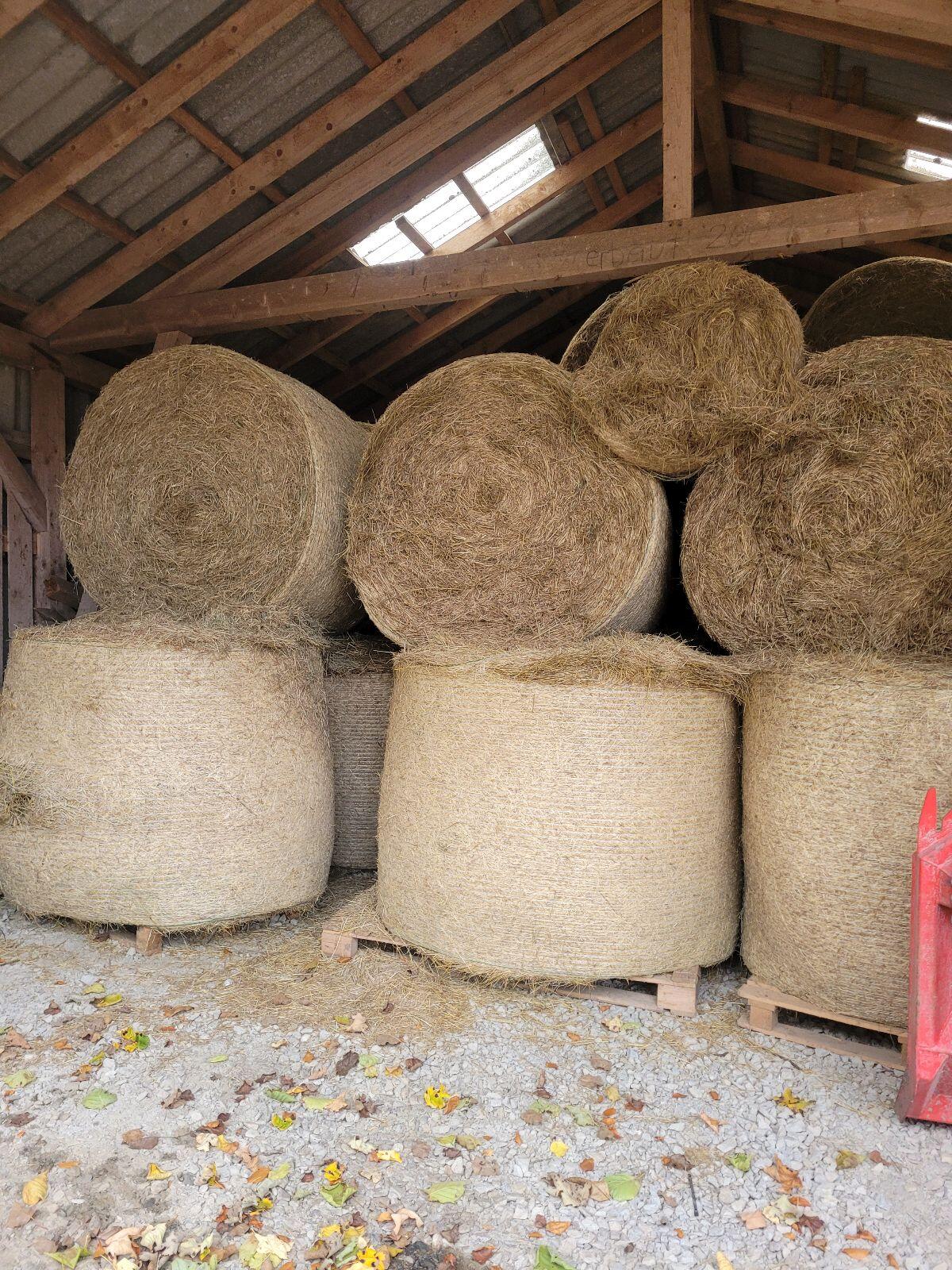 Heu zu verkaufen 3