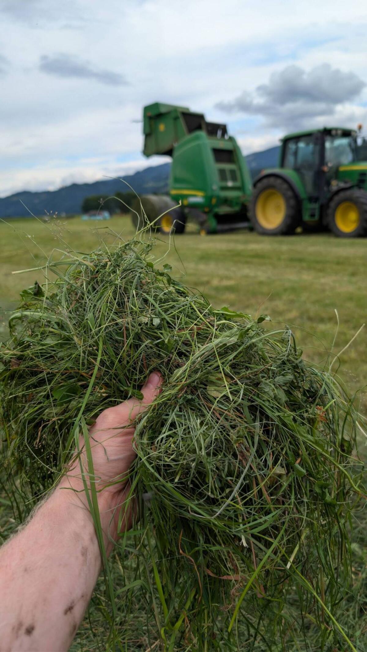 Bio Austria Siloballen 3. Schnitt 1