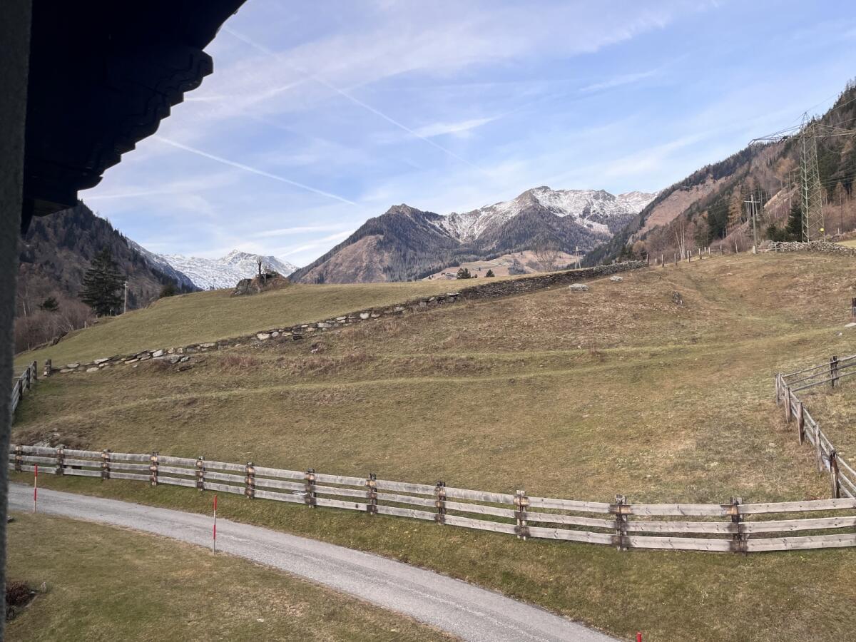 Landwirtschaftliche Nutzfläche zu Verpachten 2
