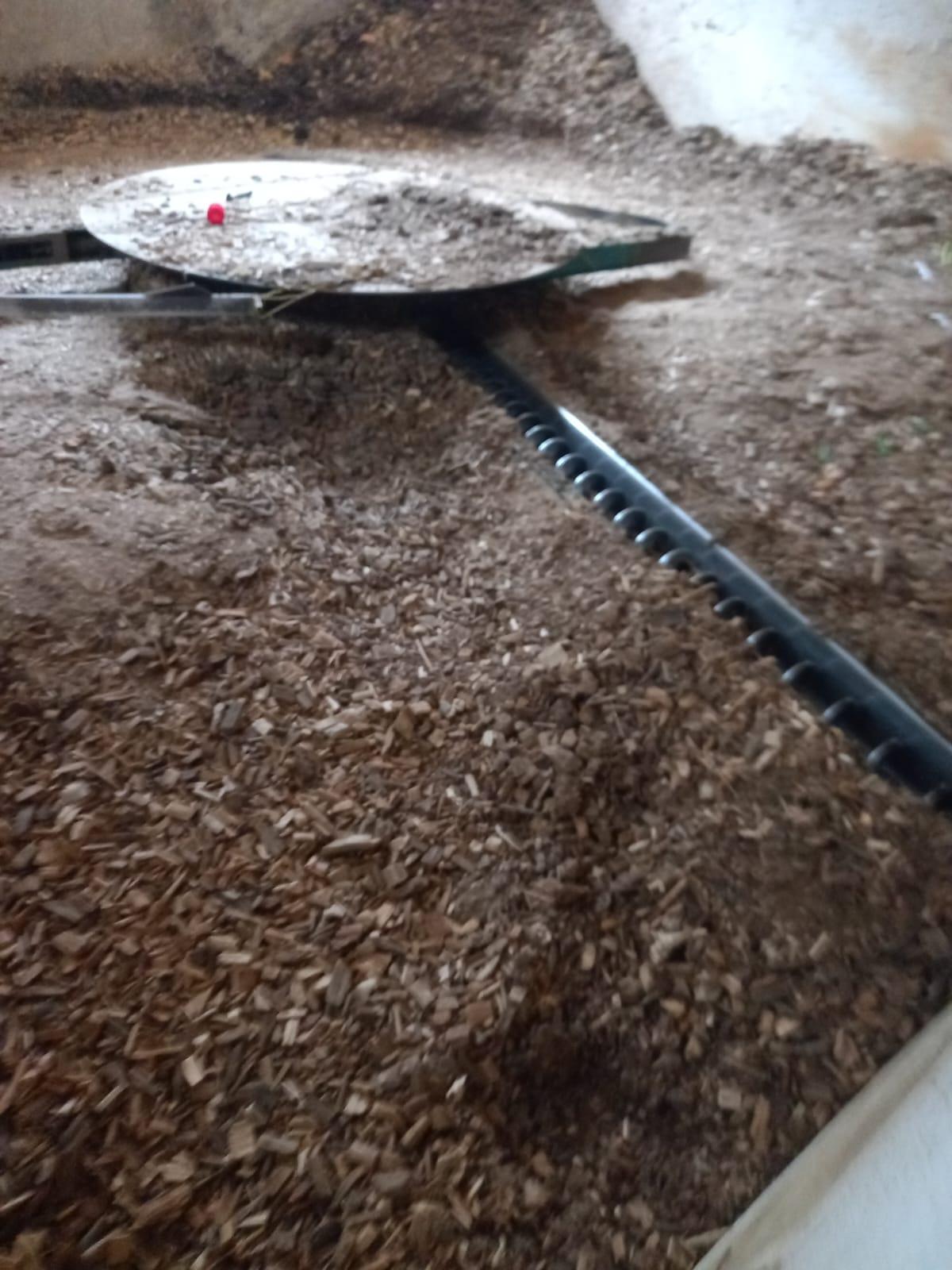 Hackschitzelheizung 2