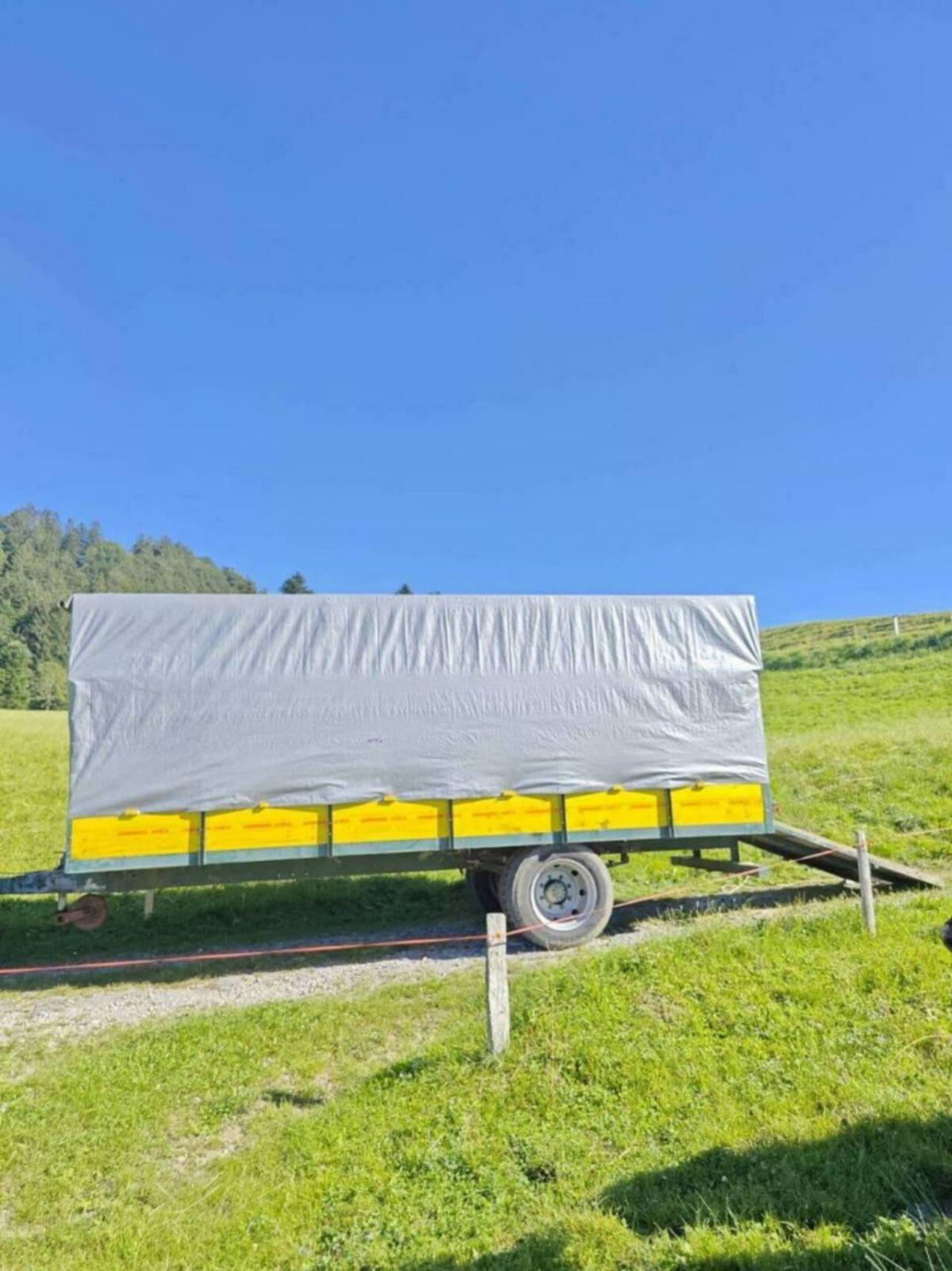 Viehanhänger 2