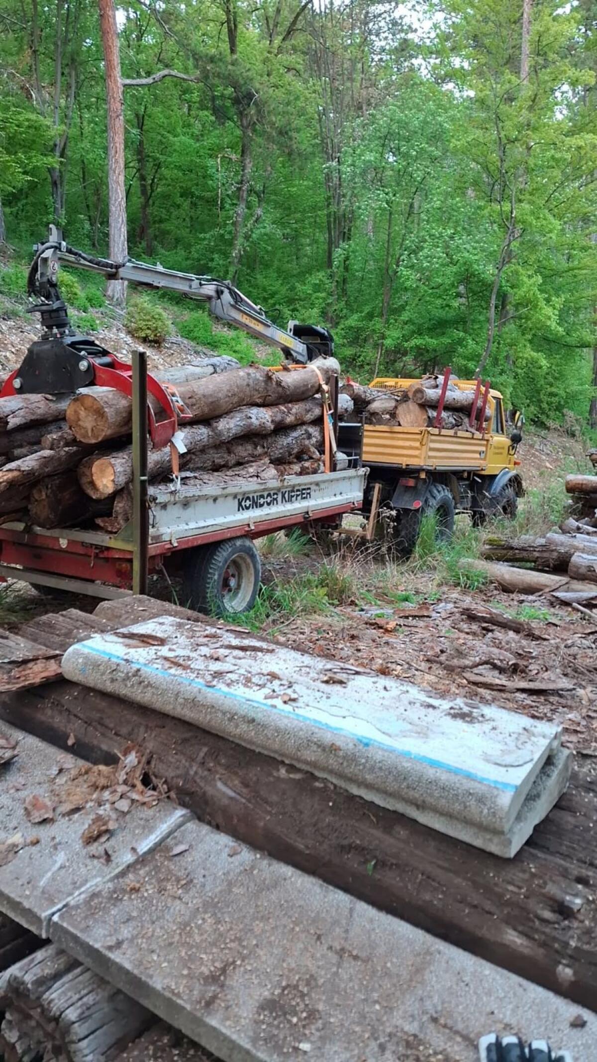 Biete Forst-, Garten- und Minibaggerarbeiten 3