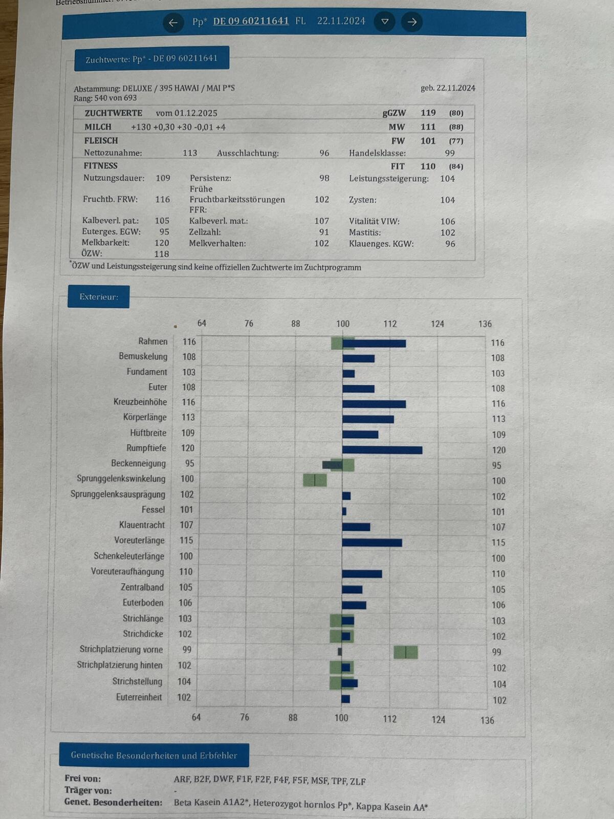 Fleckvieh Deckbulle Sprungstier Deckstier 3